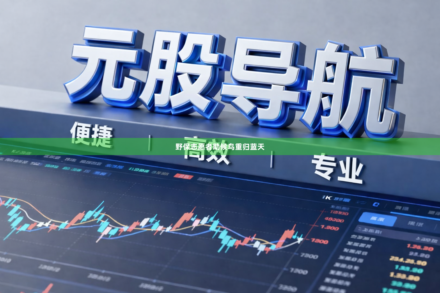 野保志愿者助候鸟重归蓝天