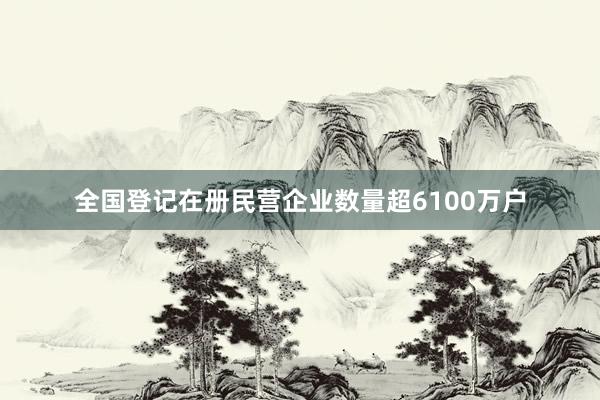 全国登记在册民营企业数量超6100万户